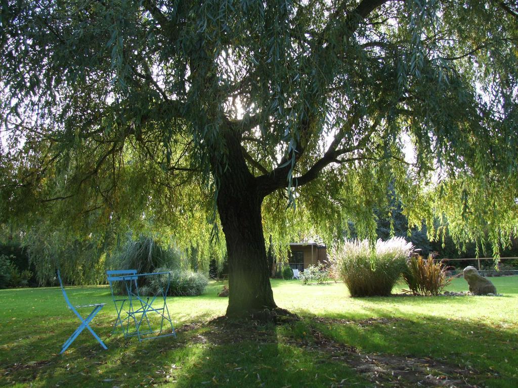 Le Clos Du Clocher Gueudecourt エクステリア 写真