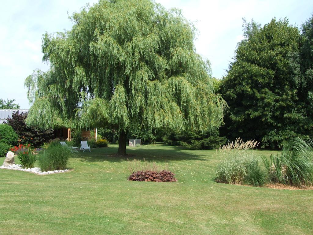 Le Clos Du Clocher Gueudecourt エクステリア 写真